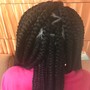 Add 2 strand twists or multi strand twists to style