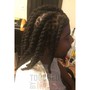 Havana Twists