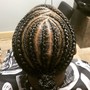 2 Feed Braids