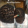 ReTwist and Loc Style ( half head , sides shaved )