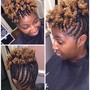 Spring Twist or Kinky Twist