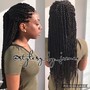 Passion  Twists waist length