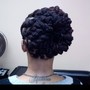 Updo/Protective Style/2 Strand Twist