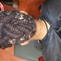 Updo/Protective Style/2 Strand Twist