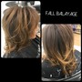 Partial highlights