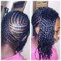 Tree Braids