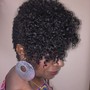 Coils/Comb twist