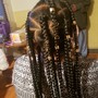 Spring /Nubian Twists