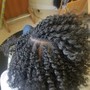 Root Touch Up