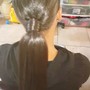 Braided Updo / Ponytail