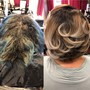 Partial Highlights and style