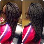 Small Senegalese Twist