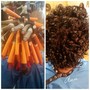 Color Root Touch Up, Natural Coils