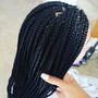 Smedium feedin braids straight back