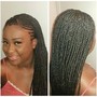 2-rows Feed in Braids