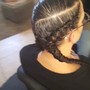 Braided Updo / Ponytail