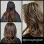 Root Touch Up & Cut