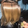 Root Touch Up