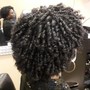 Cornrows or Rope Twists+ Twists (midback)