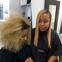 Root Touch Ups