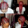 2 Feeding Braids (Hair Included)