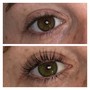 Keratin Lash Lift+Tint (last appt 6-8 wks ago)