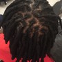 Starter Locs