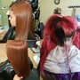 Permanent Color Application with highlights and lowlights class