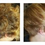 Olaplex stand alone  Treatment