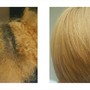 Amino Acid Straightening Treatment retouch