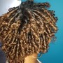 Weekly Loc Maintenance Re-Twist