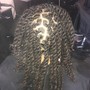 Extentions( track)