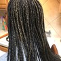 Large Box Braids (Mid Back Length)