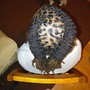 Kids short hair Braids ( 4in or les)