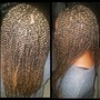 Senegalese twist (medium) mid back