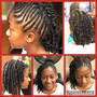 Mini Twists