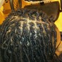 Starter Locs