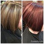 Root Touch Up, Cut & Blowdry