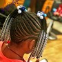 Small Braids into a ponytail