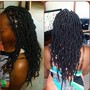 Havana Twists