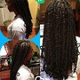 Crochet Braids