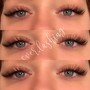 Bottom Lash Set