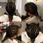 2-4 Feed in Braids