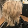 Root Touch Up