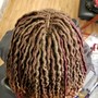 Roller Set/ Wash and Set/ shampoo and style