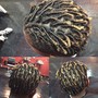 Starter Locs