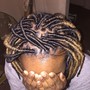 2 or 3 feedin braids