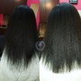 Double Process Hair Color + pH Bonder