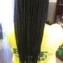 Passion /Spring /Kinky Twist- Large