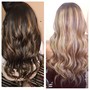 Full Foil Highlights on Extensions